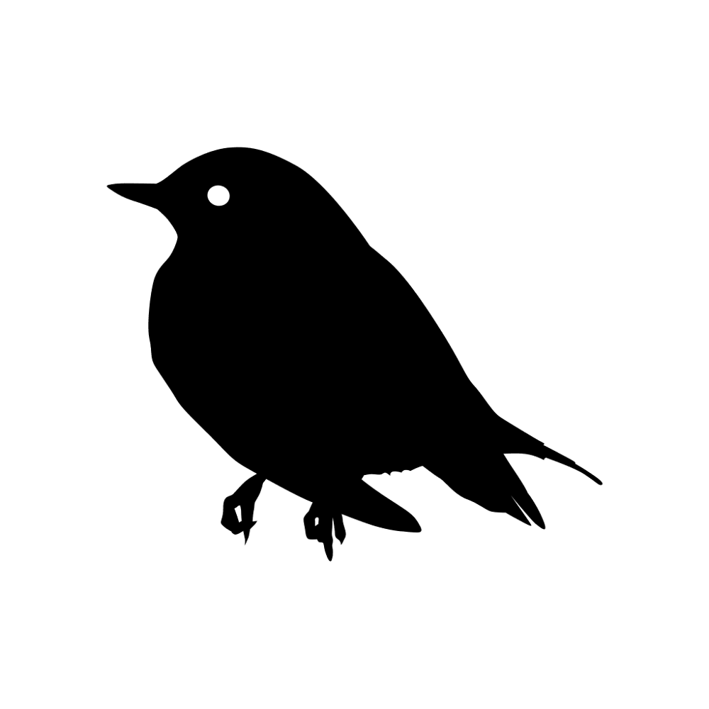Blue Bird